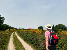 Carica l'immagine nel visualizzatore di Gallery, Safari in jeep nel Parco Nazionale dell'Aspromonte