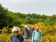 Carica l'immagine nel visualizzatore di Gallery, Safari in jeep nel Parco Nazionale dell'Aspromonte

